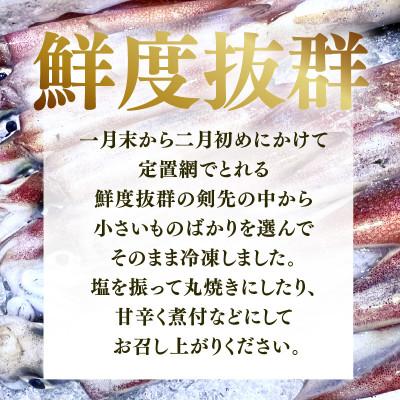 ふるさと納税 美浜町 丸焼き丸かぶり!旬真っ盛りの小剣先イカ(子持ヤリイカ)とれたて冷凍便 |  | 01