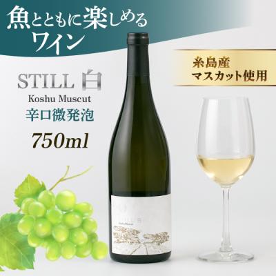 ふるさと納税 糸島市 【糸島マスエワイナリ】STILL 白 Koshu Muscut 1本 糸島市[AEP001]