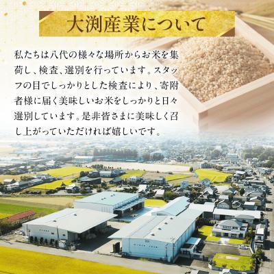 ふるさと納税 八代市 くまさんの輝き 発芽玄米 パックごはん 180g×24個入り 米_274-6701 |  | 03