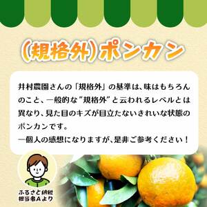令和9年1月発送予定 規格外だけど規格外じゃない!? 訳あり 足摺ぽんかん 5kg デコポンの親 みかん 柑橘 果物 果実 ミカン ポンカン フルーツ おやつ デザート 5キロ 美味しい 井村農園【R