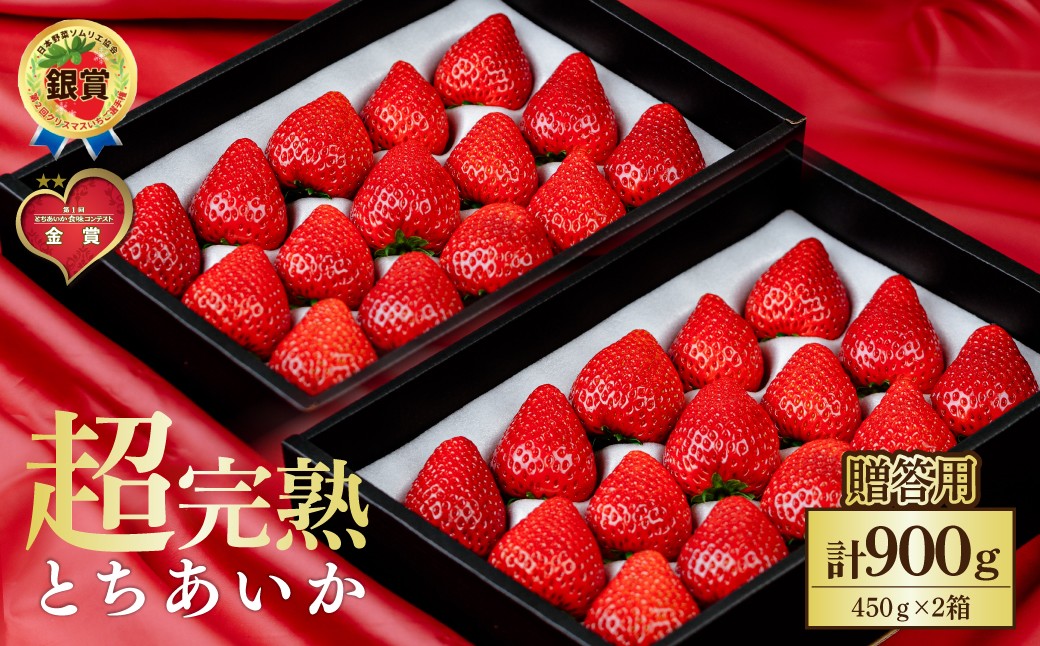 
            【先行受付：選べる発送月】いちご 鈴木ファームの完熟＆朝どれ とちあいか ギフト900g(450g × 2箱） | いちご イチゴ 苺 とちあいか とちおとめ 完熟 甘い あまい 果物 フルーツ 鈴木ファーム 栃木県 茂木町
          