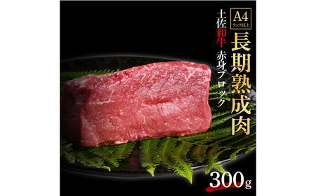 エイジング工法 熟成肉 土佐和牛 特選赤身 ブロック 約300g 冷凍 【株式会社LATERAL】 [ATAY029]