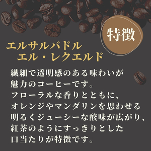 エルサルバドル エル・レクエルド コーヒー ( 粉 ) 400g ( 200g ×2 )