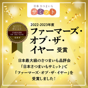 干し芋食べ比べセット紅はるかシルクスイート100g各2袋 N063-YA0275