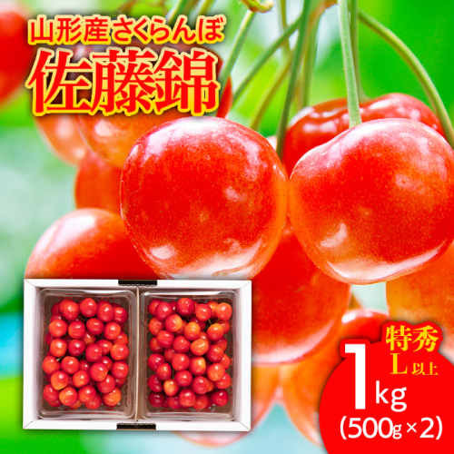 さくらんぼ 佐藤錦1kg(500g×2) 特秀 L以上 バラ詰め 【令和8年産先行予約】FS25-508