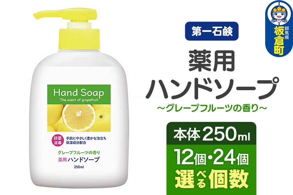 
                  第一石鹸 薬用ハンドソープ 本体 250ml（選べる個数：12個・24個） [ハンドソープ 薬用 殺菌 消毒 日用品 グレープフルーツの香り]
                