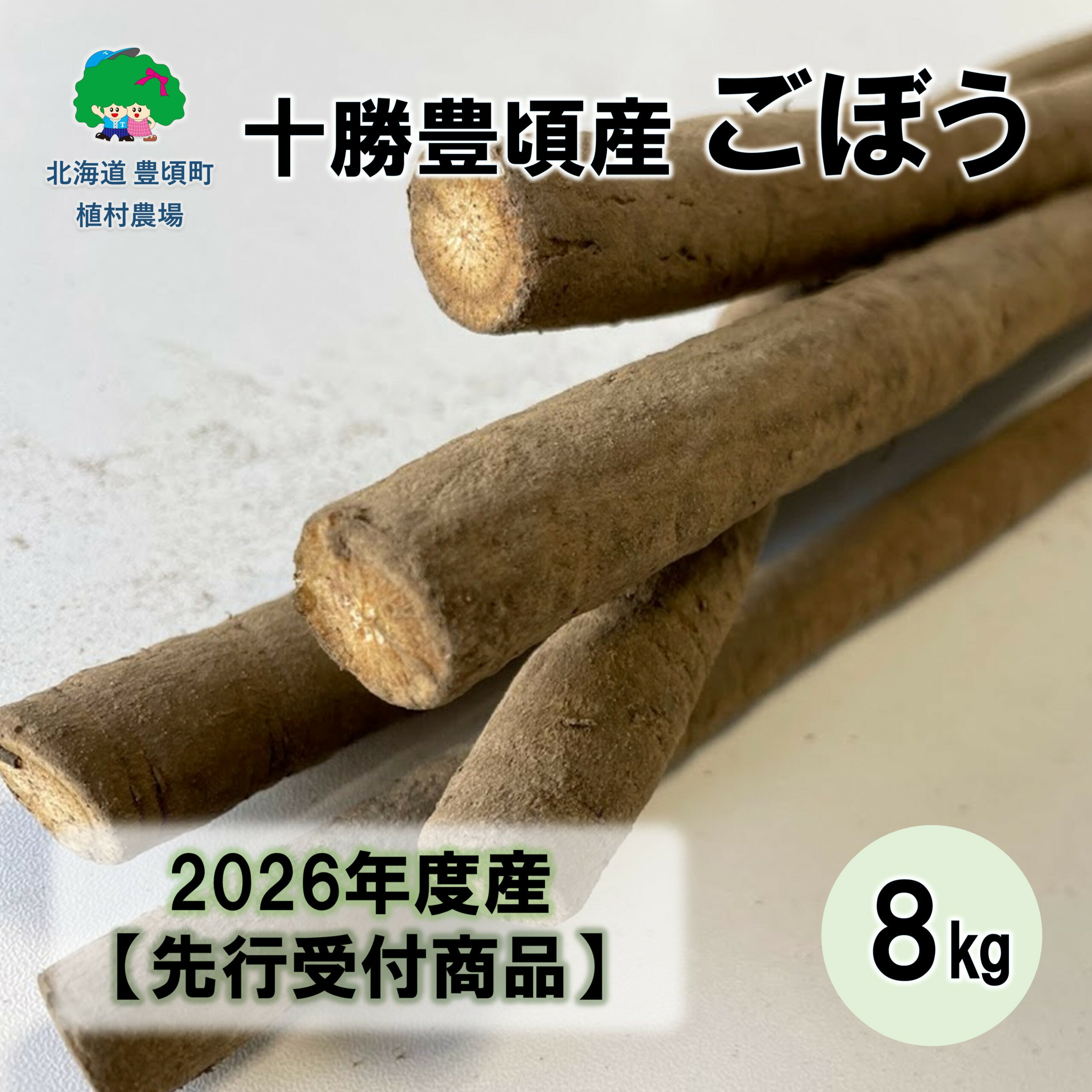 【ふるさと納税】【秋掘り】十勝豊頃産ごぼう8.0kg 【2026年初冬出荷】（先行受付）【植村農場】" 北海道 十勝 豊頃町 " 先行予約 予約 特産 農家直送 数量限定 送料無料 《12月中旬頃から出荷》