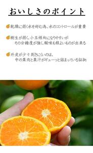 ゆら早生みかん 小玉2S・3S 秀 5kg ｜和歌山県産 甘みと酸味が美味しい人気の旬果物を産地直送｜ ゆら早生みかん 温州 ２S 3S［Mg23］