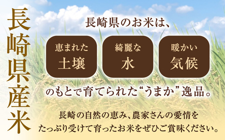 【令和7年産】 無洗米 長崎 こしひかり 計10kg ( 2.5kg×4袋 ) ／ 新米 お米 米 ご飯 ごはん 小分け コメ 長崎県産 国産 九州 長崎県 長崎市 深堀米穀店