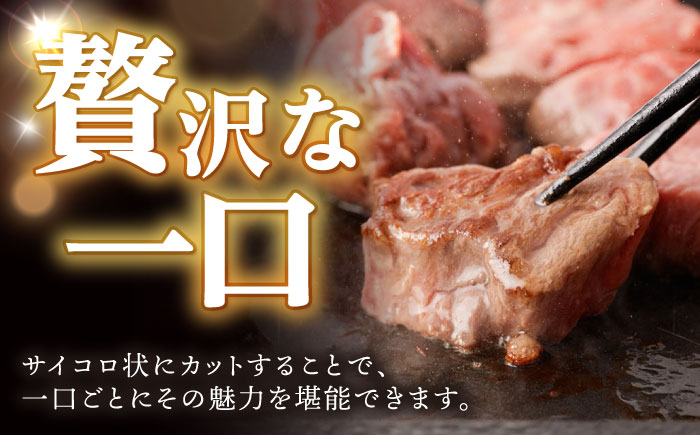 【12回定期便】 【一口で広がる贅沢な旨味！】長崎和牛 ヒレサイコロステーキ 400g / ヒレ ひれ ヒレステーキ ステーキ すてーき サイコロステーキ / 諫早市 / 野中精肉店 [AHCW108