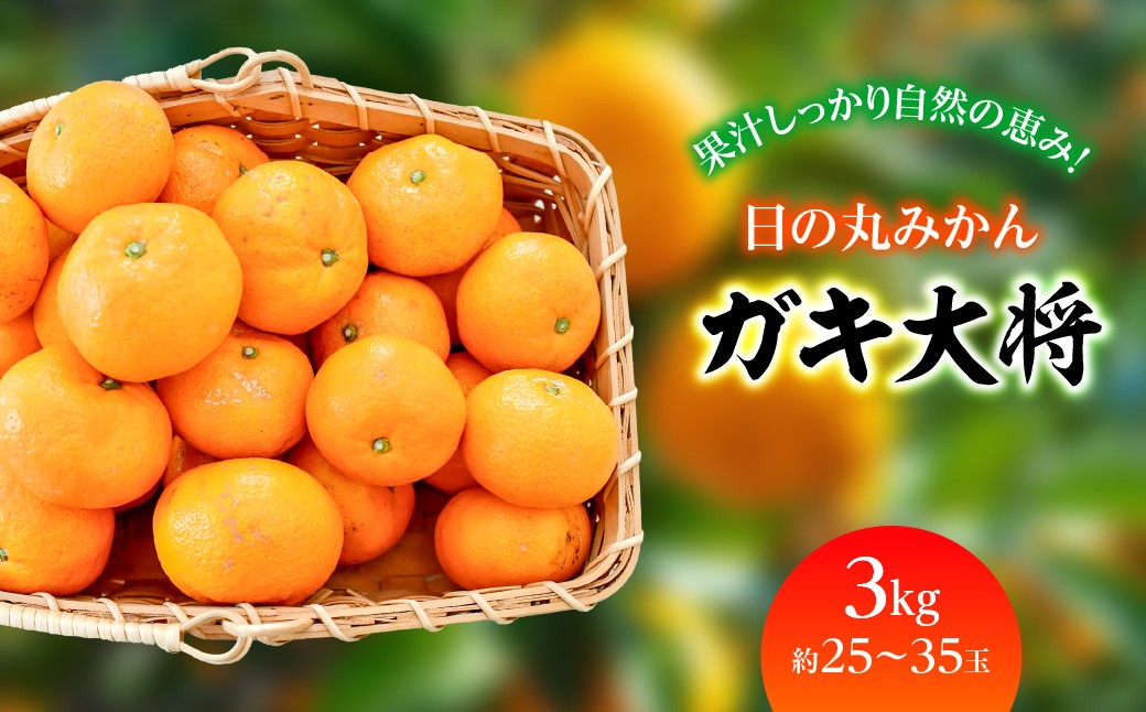 
                  果汁しっかり自然の恵み!「ガキ大将」3kg(L/Mサイズ)/日の丸みかん/ご家庭用＜C79-14＞【1452037】 YWTC014
                
