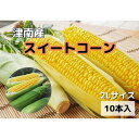 【ふるさと納税】【新潟県 津南町産】朝取りスイートコーン 2Lサイズ 10本（1本約400g）