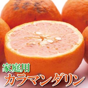 ＜4月より発送＞ 家庭用 カラマンダリン2.5kg+75g（傷み補償分）南津海・なつみ 訳あり わけあり 希少な春柑橘 みかんと同じように食べられます ［IKE68］