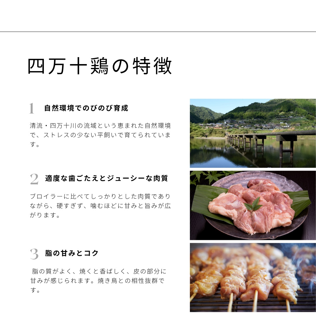 土佐備長炭焼き 四万十鶏の焼き鳥 25本 たれ もも肉 冷凍 惣菜 調理済み【R01443】