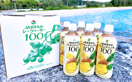 JAおきなわ　パインアップル100（PET500ml）6本セット パインアップル パイナップル ぱいなっぷる パイン パインジュース ぱいん 安心 甘酸っぱい パインストレート ソーダ割 南国フルーツ