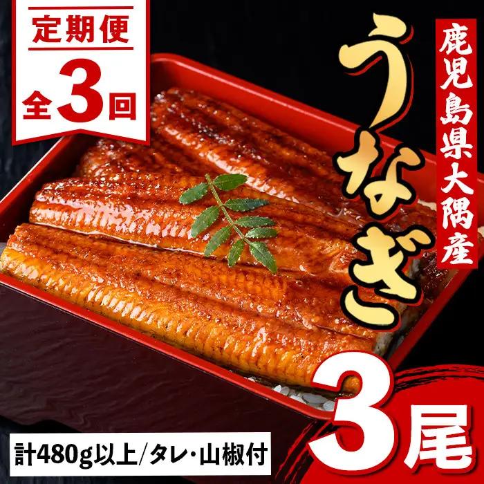 【E57004】＜定期便・計3回(連続)＞うなぎ蒲焼・大(有頭)(3尾・計480g以上×3回、タレ、山椒付)鹿児島 国産 鰻 うなぎ ウナギ 蒲焼き うな丼 うな重 ひつまぶし 土用の丑の日 真空パック お土産 贈答 ギフト プレゼント【一般社団法人きもつき宇宙協議会】
