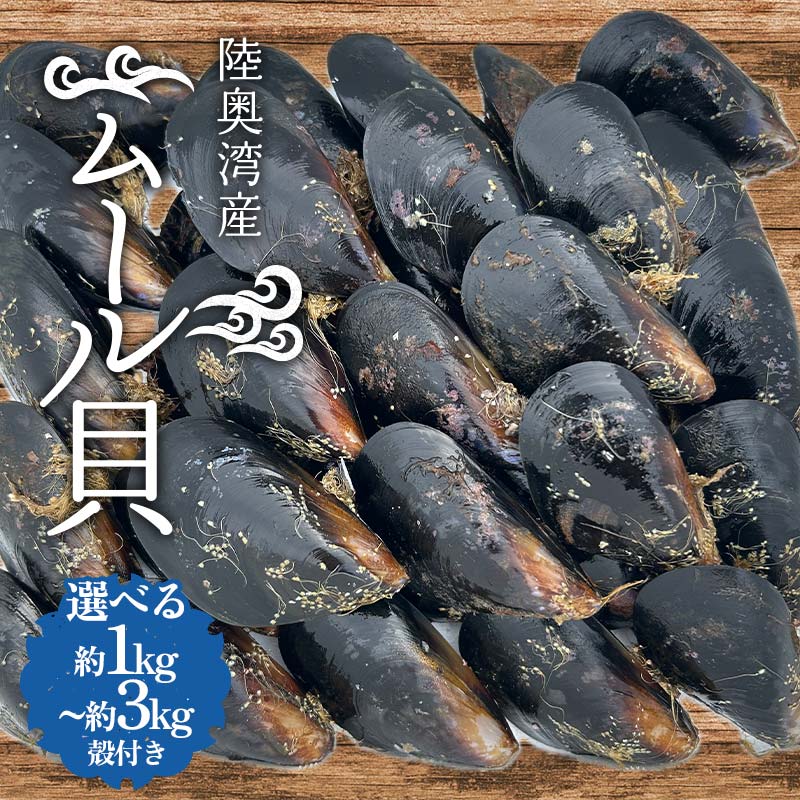 【ふるさと納税】 《選べる容量》陸奥湾産 ムール貝 約1kg・約2kg・約3kg 【飛佳丸】 殻付き 活ムール貝 とれたて 新鮮 魚介 海鮮 漁師直送 パエリア パスタの具 青森県 平内町 東北 むつ湾 F21J-265var