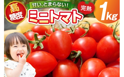 トマト 〜高糖度 しあわせのトマト〜 ミニトマト アイコ 1kg [会宝産業 石川県 宝達志水町 38601342] 野菜 とまと やさい tomato あいこ フルーツトマト みにとまと 甘い 高糖度 完熟 リコピン 産地直送