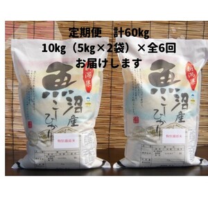 【令和７年産新米予約】6か月定期便　がんこおやじが作った南魚沼産コシヒカリ白米10kg（5kg×2袋）【2025年10月20日頃より順次発送予定】