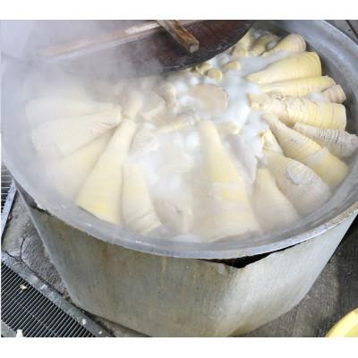 ふるさと納税 静岡市 新鮮即茹で!筍水煮 150g×8袋セット |  | 03