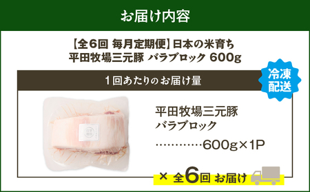 【 全6回 毎月 定期便 】 日本 の 米育ち 平田牧場 三元豚 バラ ブロック 600g T036-T08-02 定期 肉 お肉 にく 豚 豚肉 ブタ ぶた 豚の角煮 角煮 焼豚 厚切りソテー 黒豚