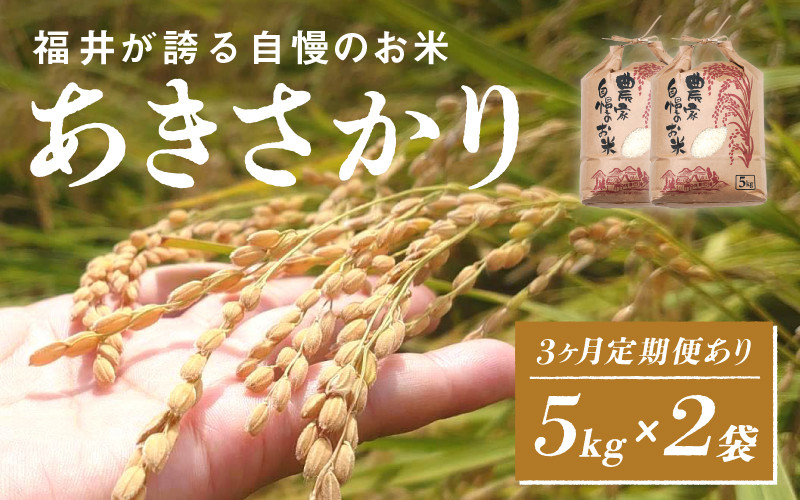 
            ＜2025年11月以降 順次発送予定＞【定期便あり！】令和7年産 あきさかり　5kg×2袋（計10kg）[C-10103] / お米 新米 精米 ご飯 ごはん 米農家 農業男子 鮮度抜群 福井県鯖江市 先行予約
          