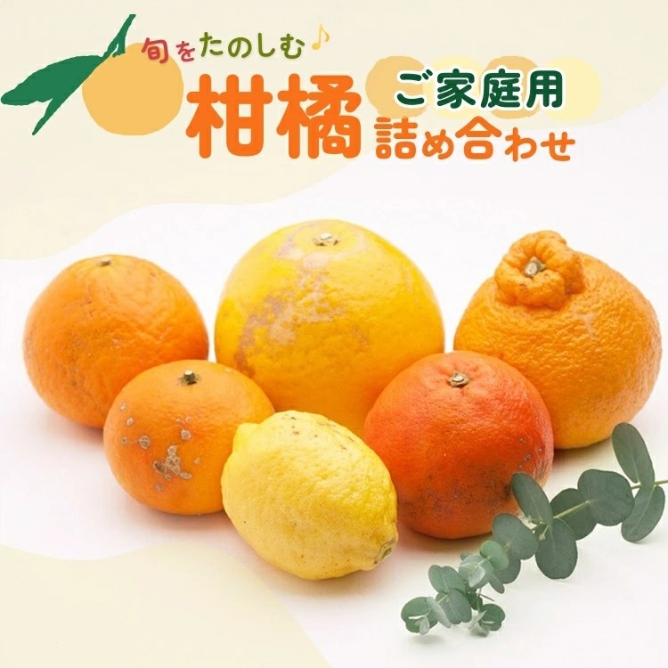 ＜1月より発送＞家庭用 柑橘詰合せ1kg+250g（傷み補償分）◇【訳あり・わけあり】【有田の春みかん詰め合わせ・フルーツ詰め合せ・オレンジつめあわせ】【光センサー選別】 ※北海道・沖縄・離島への配送不可 ※2026年1月上旬～4月下旬頃に順次発送予定
