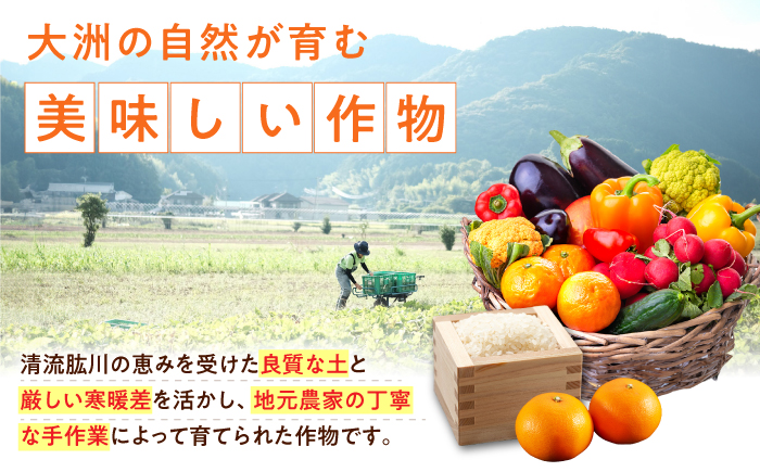 【全6回定期便】生産者の顔が見えるから安心して食べられる！毎回ちがう旬の農産物定期便　愛媛県大洲市/大洲市青年農業者協議会 [AGBL001]サラダ カレー 料理 収穫 ダイエット ヘルシー ブロッコ
