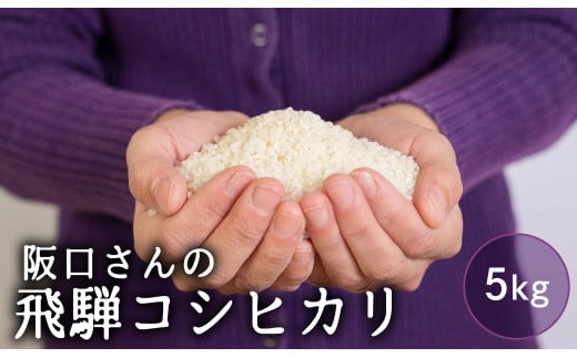 特別栽培米 令和7年産 飛騨産 コシヒカリ 5kg 単品 米 新米 阪口農園  特A こしひかり 阪口農園 米 白米 こめ コメ ごはん 飛騨市 5キロ 14000円［Q1839_25]
