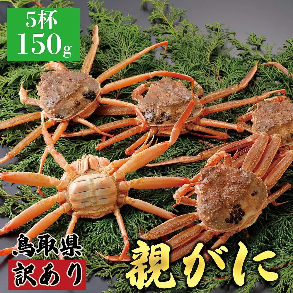 1068.【2026年12月発送】鳥取県産 特撰 親がに 姿【 セコガニ 】（なま）【訳あり】150g 5杯 | ズワイガニ ズワイガニ メス 蟹