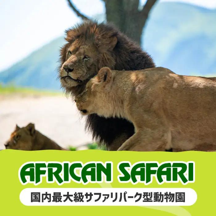 アフリカンサファリ入園券とオリジナルクリアファイルのセット(入園券(大人2枚・小人4枚)とクリアファイル)チケット 動物園 サファリパーク形動物園 家族旅行 デート 観光【110601700】【九州ア