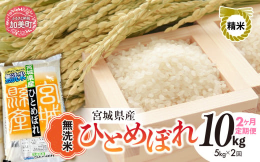 【2回定期便】R7 宮城県産 ひとめぼれ 無洗米 5kg×2回 [ 宮城県 加美町 菅原精米 ] 米 こめ コメ ご飯 sw-hb05-mu-t2-r7