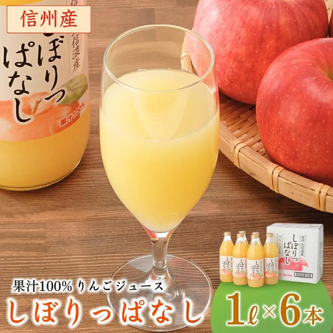  信州産りんごジュース  しぼりっぱなし 果汁100％ ( 1L × 6本 )