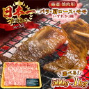 【ふるさと納税】【A4～A5】長崎和牛焼肉用　(500g or 1kg)【株式会社 MEAT PLUS】[QBS001] 和牛 長崎和牛 焼き肉 焼肉 牛肉 国産