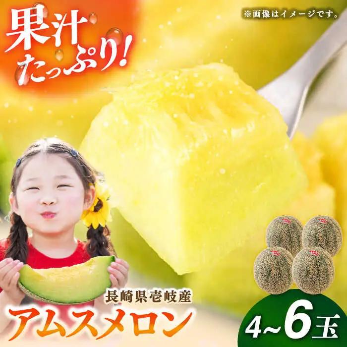 先行予約 壱岐産 アムスメロン 4から6玉 [JBO017] メロン
