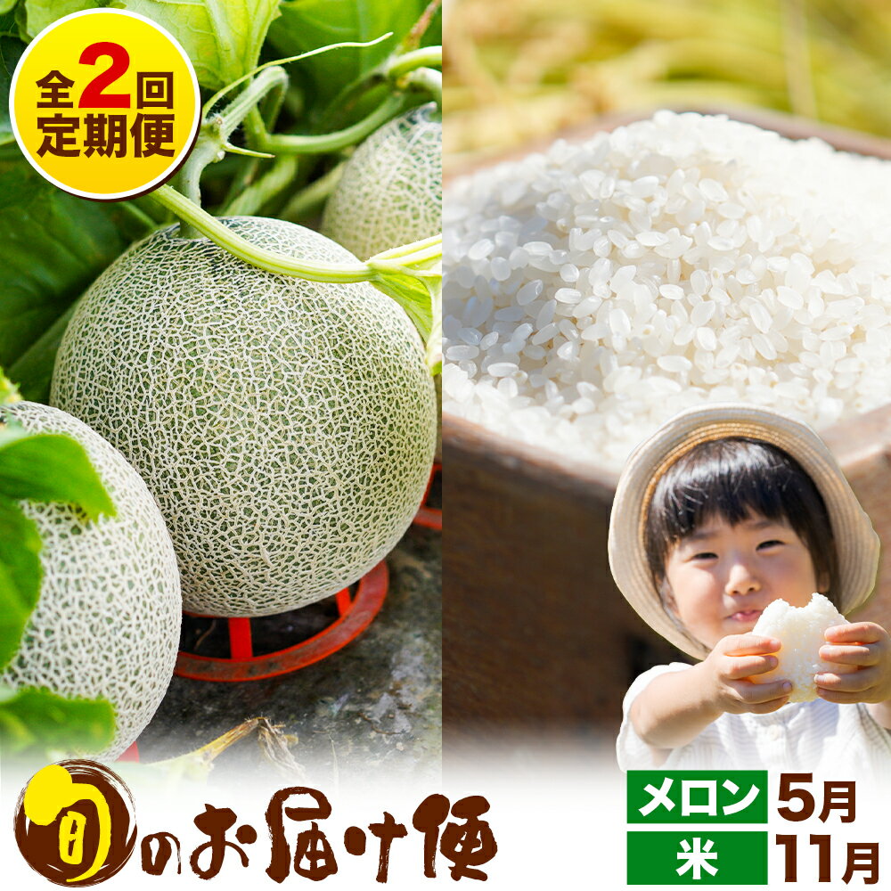 【ふるさと納税】【全2回定期便】つるたファームから旬のお届け便 選べる お届け内容 特別栽培米 自然栽培米 ヒノヒカリ 春風レッド 肥後グリーン メロン 株式会社七城の恵み《メロン：5月出荷・米：11月出荷》熊本県 菊池市 米 メロン ひのひかり 定期便 つるたファーム