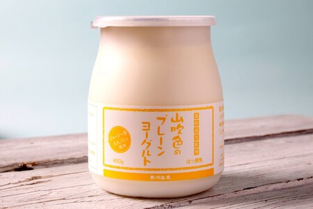 山吹色のジャージーヨーグルト 色々セット 3種 ジャージー牛乳 ヨーグルト 詰め合わせ セット 飲むヨーグルト プレーンヨーグルト ざらめ 乳製品 飲料 健康 腸活 免疫力アップ 乳酸菌 ご当地 ギフ