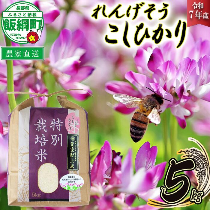 【ふるさと納税】 米 れんげそう こしひかり 5kg ( 令和7年産 ) 特別栽培米 仲俣農園 長野県 飯綱町 〔 コシヒカリ 白米 精米 お米 信州 26500円 予約 農家直送 〕発送時期：2025年10月上旬〜 [お届け1回 (**)]