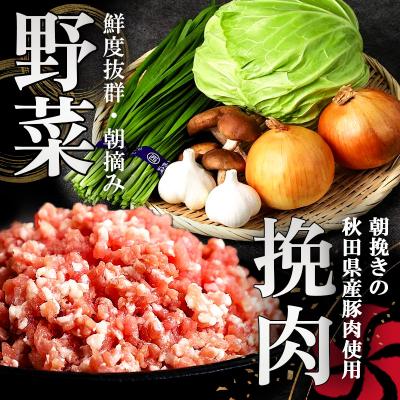ふるさと納税 秋田市 【新緑のふき餃子48個詰合せ】餃子の餃天|15_ggt-114801 |  | 03