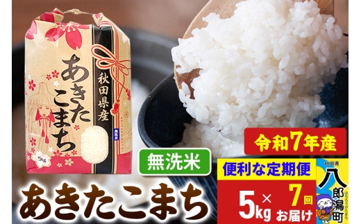 《定期便7ヶ月》 あきたこまち 5kg【無洗米】令和7年産 秋田県産 こまちライン [こまちライン あきたこまち ブランド米 お米 白米 精米 無洗米 米どころ 秋田 秋田県産]