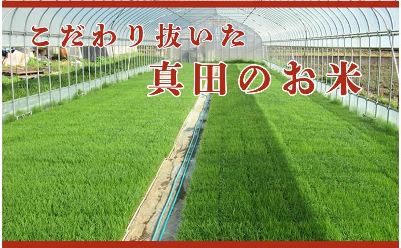 米 令和7年産 定期便 3ヵ月 コシヒカリ 関口さんちのお米 3kg お米 白米 ブランド米 定期 3回