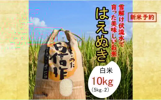 人気のブランド米　はえぬき　白米　10kg（飯豊町産）【新米予約】