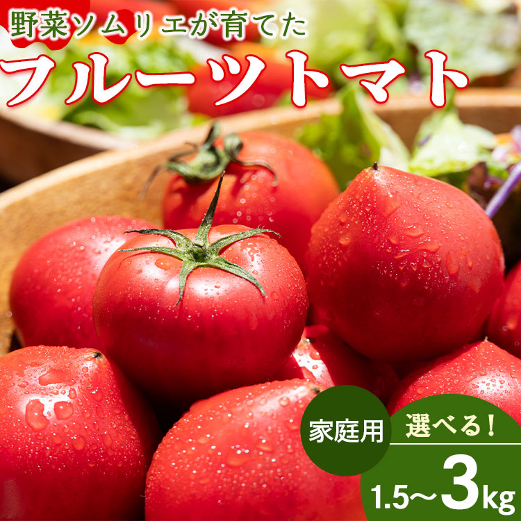 【ふるさと納税】【選べる内容量】家庭用 野菜ソムリエが育てた フルーツトマト（1袋500g入り）約1.5kg/約3kg - 野菜 とまと 産地直送 2026年発送 料理 アレンジ サラダ 完熟 甘い あまい フレッシュ さっぱり 酸味 うしの恵 小分け おいしい 国産 高知県 香南市 Rmj-0016