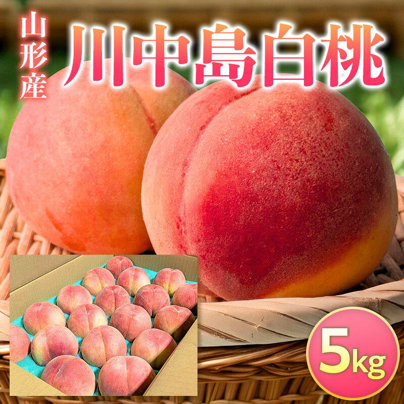 【ふるさと納税】山形産 川中島白桃 5kg FY26-231