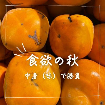 ふるさと納税 天理市 訳あり【令和8年10月下旬より順次発送】たねなし柿L〜2Lサイズ(16〜18個入り) |  | 03