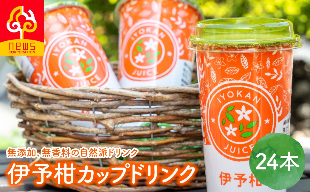 伊予柑カップドリンク24本入り IKTF043