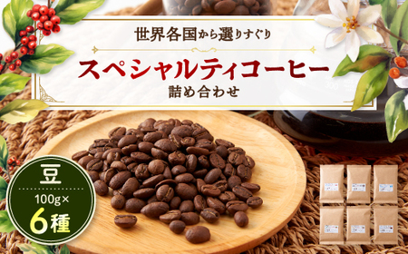 スペシャルティコーヒー100g×6種詰め合わせ(豆)【1357237】