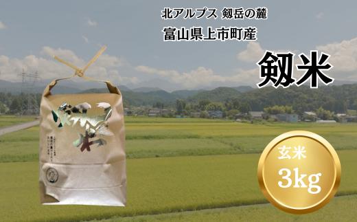 【令和7年産】上市町産コシヒカリ「剱米」（玄米）3kg　 [ソムリエH 富山県 上市町 32280235-r6-02] 　お米 コメ ご飯 ごはん 玄米ご飯 玄米ごはん こしひかり