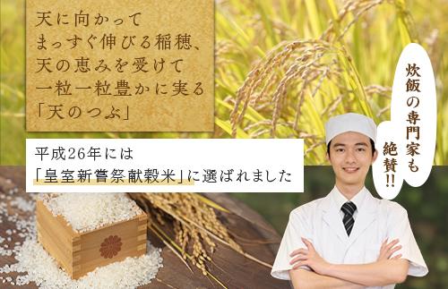 【令和8年産】米　国見町産　天のつぶ  10kg　5kg×2袋 ※沖縄・離島への配送不可 ※2026年10月中旬～2027年2月頃に順次発送予定