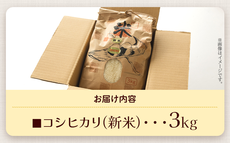 愛情注いで育てたコシヒカリの新米3kg - こしひかり お米 白米 精米 ご飯 ごはん 株式会社都築企画 高知県 香南市 td-0003